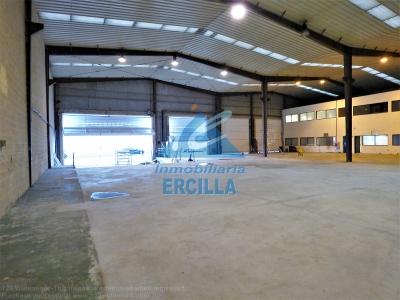 Pabellón industrial en alquiler con grúa puente en Alto Nervión - Arrigorriaga